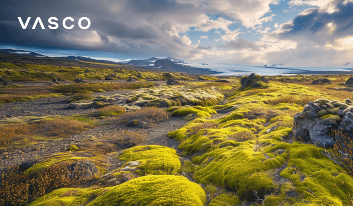 Slika islandskog krajolika.