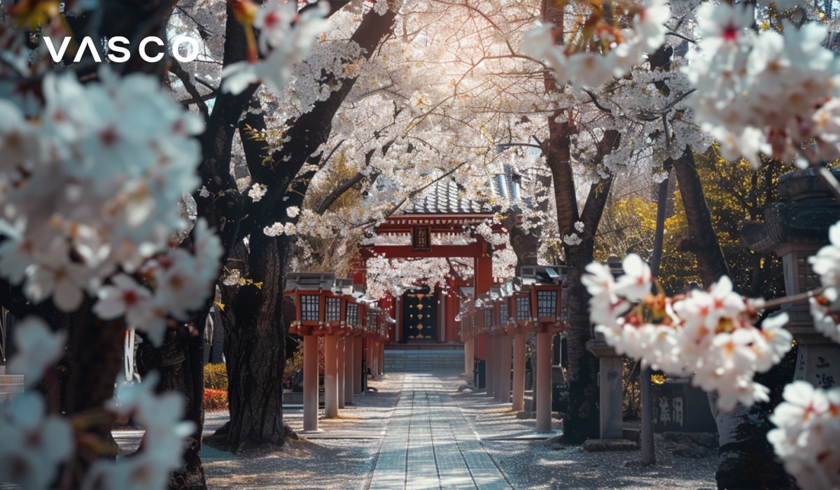 Prekrasna staza u cvatu treÅ¡nje koja vodi do tradicionalnog japanskog svetiÅ¡ta, okruÅ¾enog stablima treÅ¡nje u cvatu.